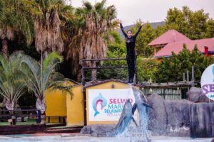Malaga, Spain - September 07, 2015: Female jumps by Dolphins in Selwo Marina, which is a small marine park located in Benalmádena