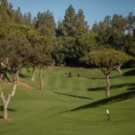 ¡Un éxito rotundo! El Fetajo Rent a Car II Championship brilla en Chaparral Golf Club 77