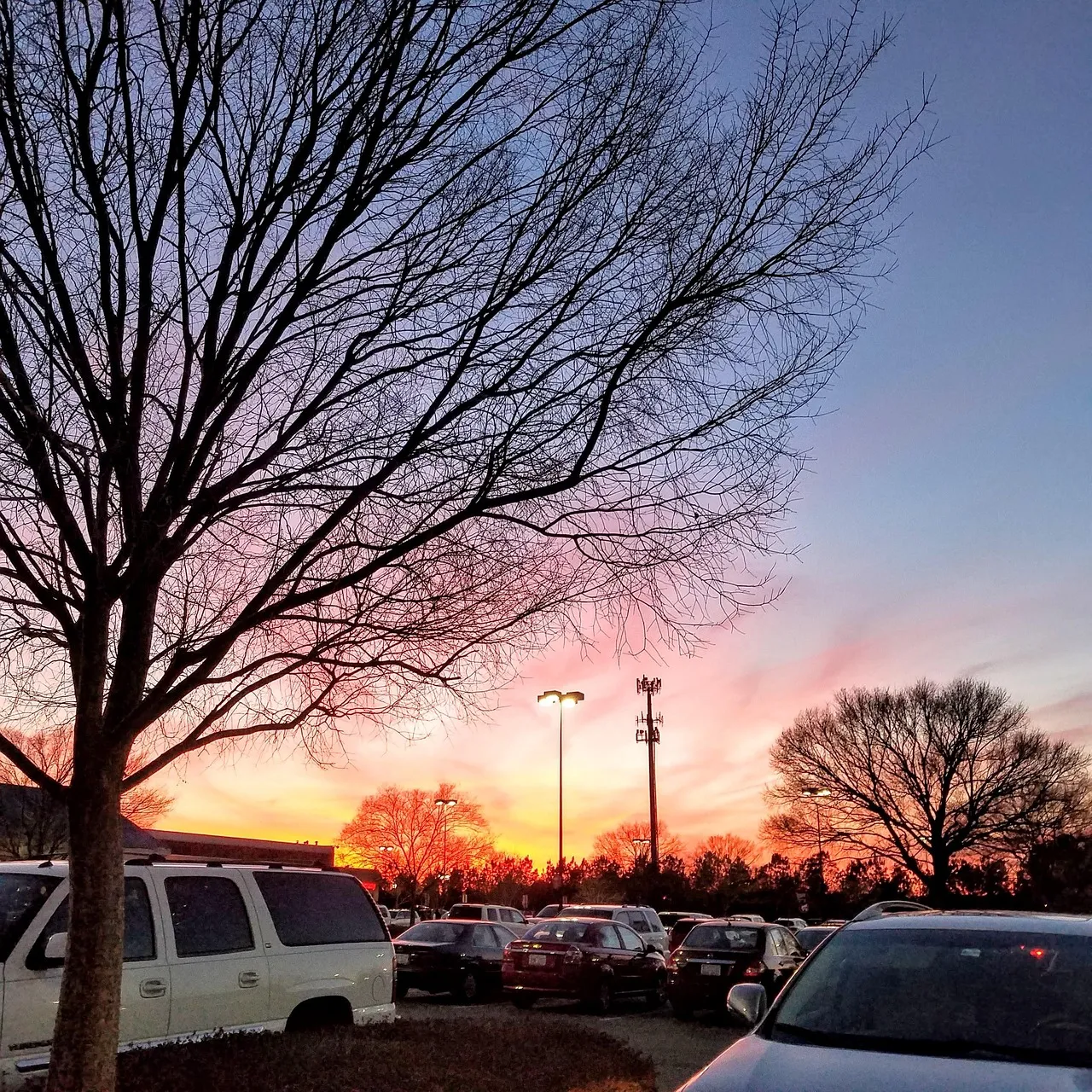 Car Rental tips in Málaga, what you need to know