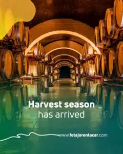 Barrel-lined cellar during the Axarquía grape harvest, a short drive from Málaga Airport