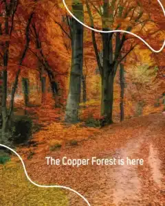 Autumn woodland path carpeted in copper leaves with the words The Copper Forest is here