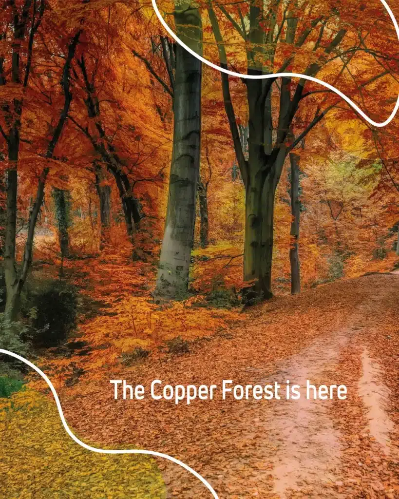 Autumn woodland path carpeted in copper leaves with the words The Copper Forest is here